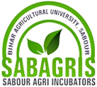 Sabour Agri, Sabour Agri Incubators (SABAGRIs)